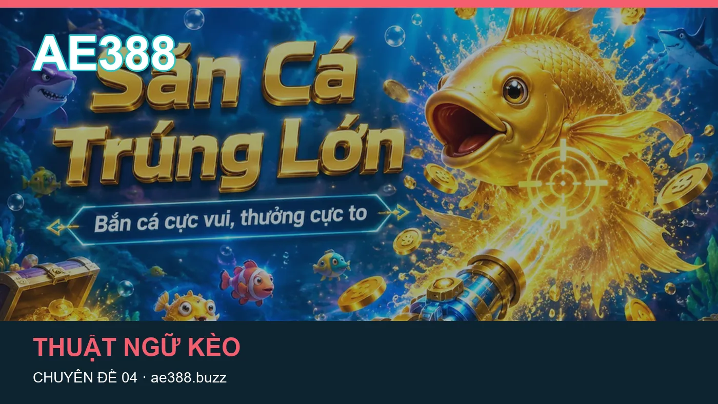 Hỏi đáp về Lịch thi đấu: quy trình tự kiểm tra trên AE388